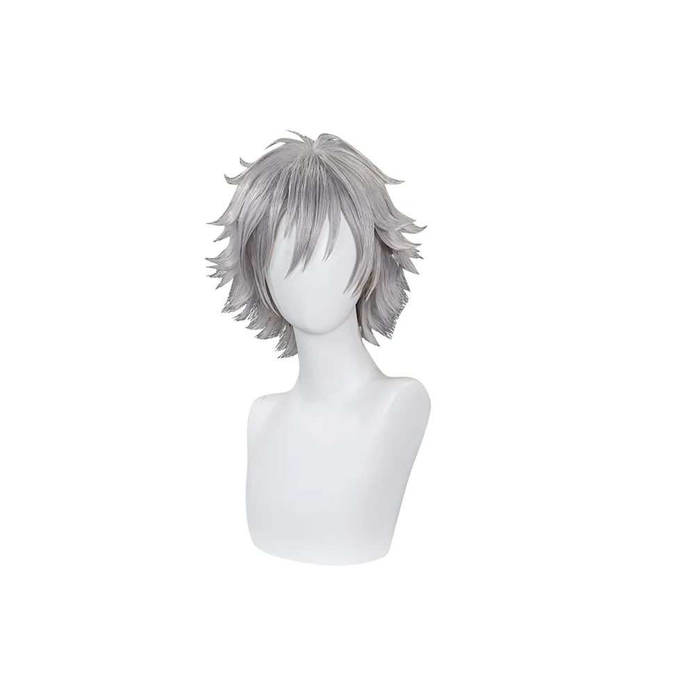 【Ready For Ship】DokiDoki Anime Cosplay Wig Short Silver Hair - Image 5